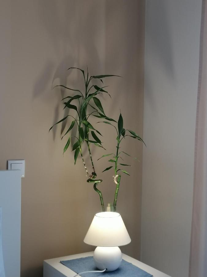파로 Casa Da Valentina Al77856 B&B 외부 사진
